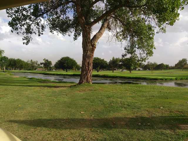 Plains Fairways Golf Course