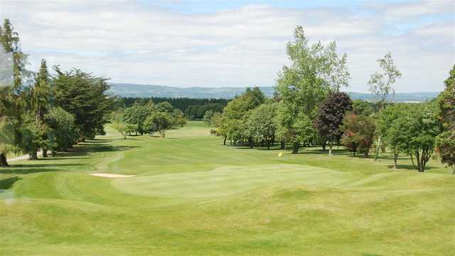 A sunny day view of a green at Limerick Golf Club.