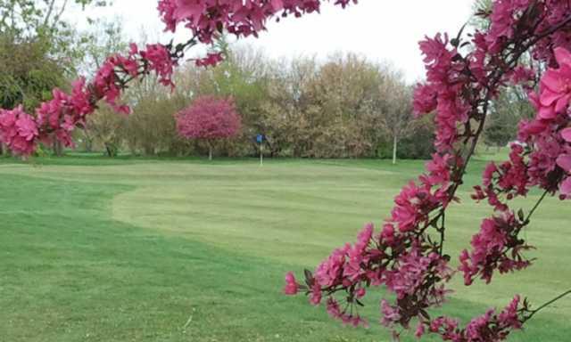 View of a green from Yule Golf Club