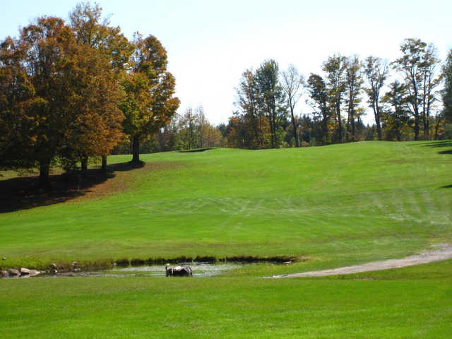 Course Image