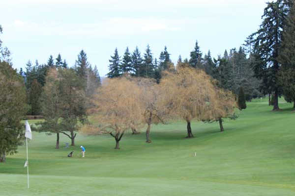 Course Image