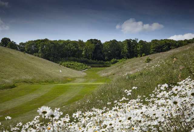 A tight par-3 at Royston Golf Club