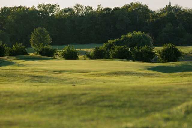 Course Image