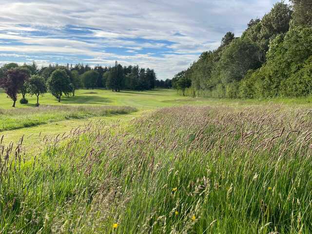 View from the 11th tee at Hamilton Golf Club.