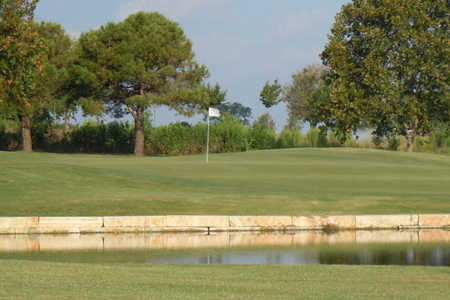 Course Image