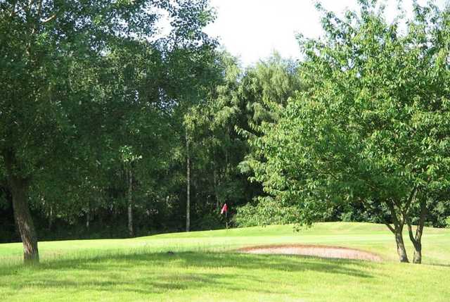 Course Image