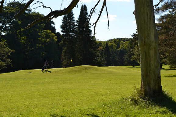 Island Valley Golf Course