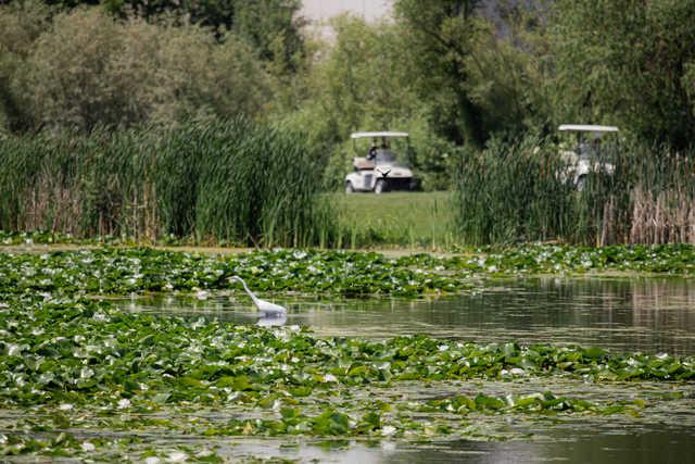 Glendale Lakes Golf Club