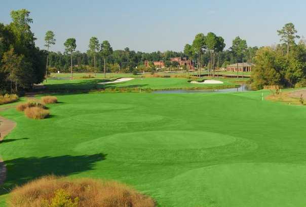 Wild Wing Plantation - Hummingbird Course