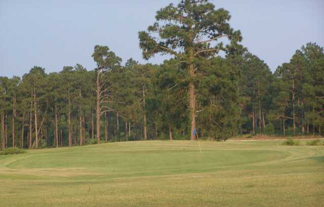 Course Image