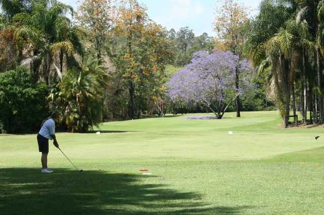 A view of green at Boomerang Farm Golf Course