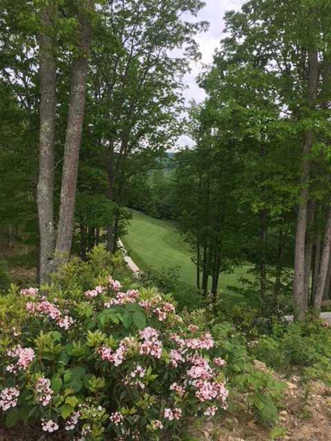 Glade Springs Village - Woodhaven