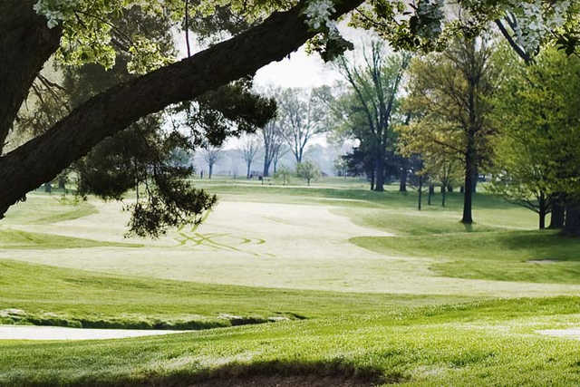 Course Image