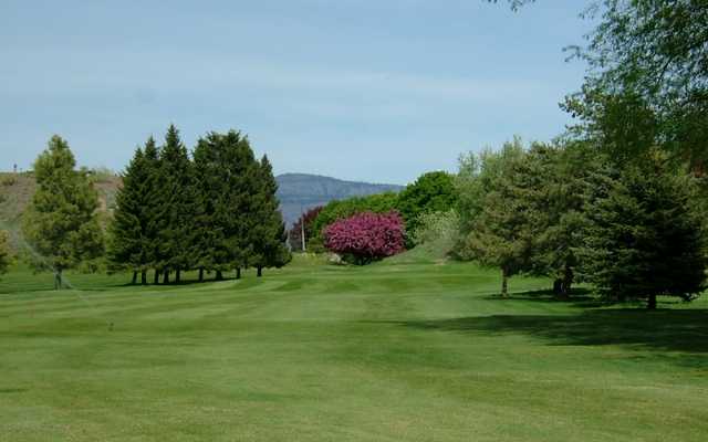 Course Image