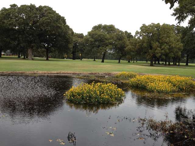 Deer Run Golf Club - TX