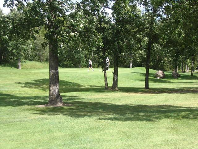 A sunny day of green #4 at Oakwood Golf Course