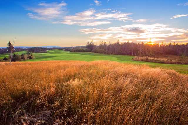 A view of fairway #4 at Black Duck from Clovelly Golf Course