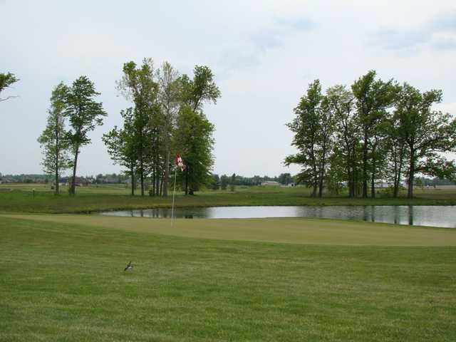 Course Image