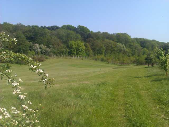 A spring view from Greys Green Golf Course