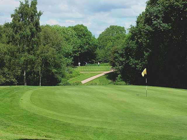 Tricky shot on the 8th at Hallowes Golf Club