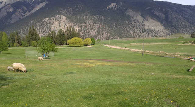 Course Image