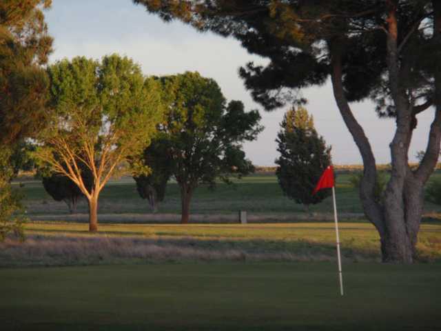 Course Image