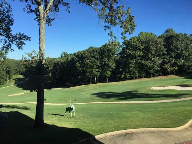 A sunny day view from Northriver Yacht Club