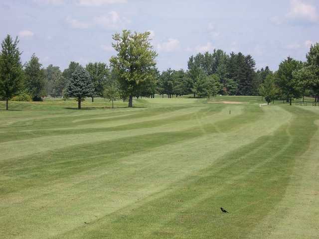 Course Image