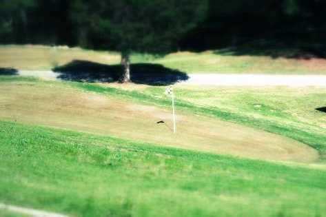 A view of a green at Deer Valley Links Golf Course
