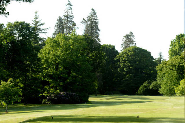 Course Image
