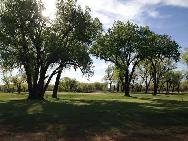 A view of the practice putting green at Prairie Farms Golf Course
