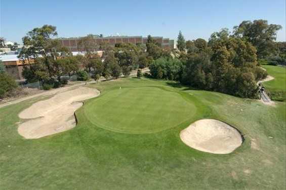 A view of the 16th green flanked by bunkers at Box Hill Golf Club