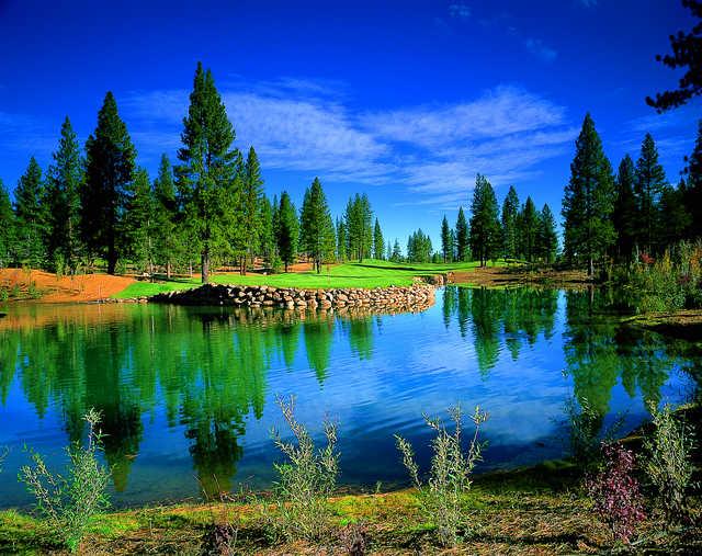 The Shaffer's Mill Club