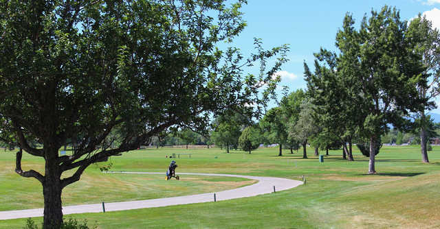 Course Image