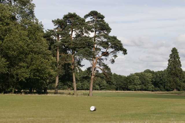 Course Image