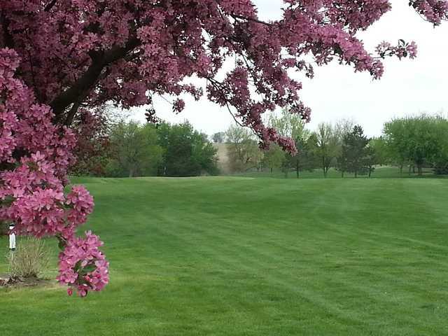 A view of a green at Glenridge Golf Course