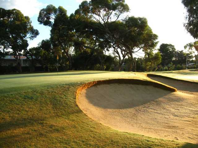A sunny view of green at East Course from Grange Golf Club