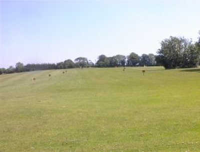 A view of the driving range at Frankfield Golf Club