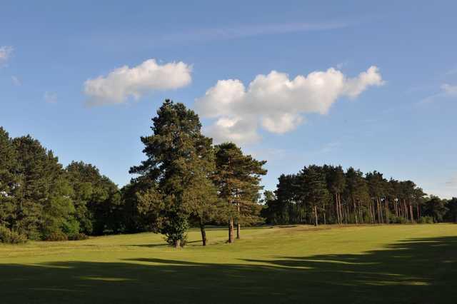 Course Image