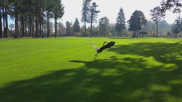 Killarney West Golf Club