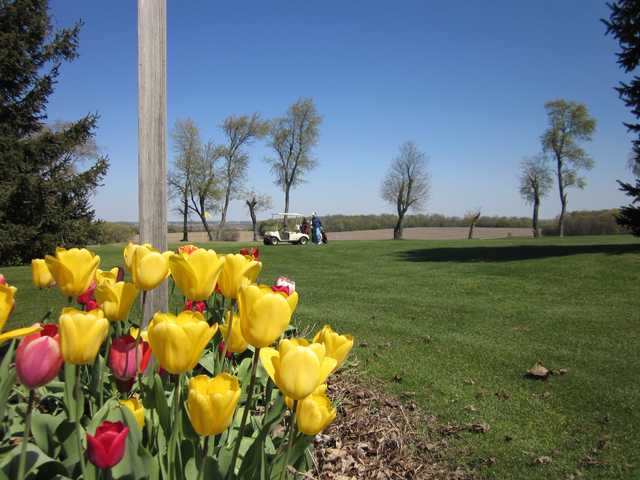 Turtle Greens Golf Course