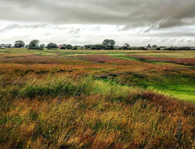 Littlestone Golf Club - Championship Links