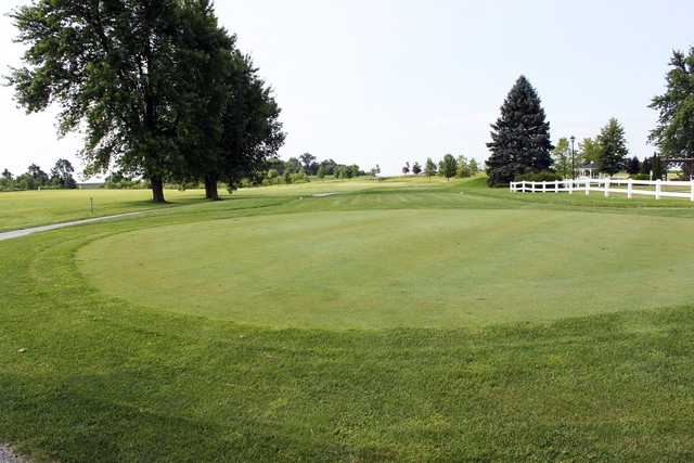 Chicago Golf & Tiki Tees