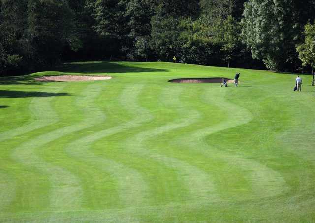 Oakridge GC: Fairway