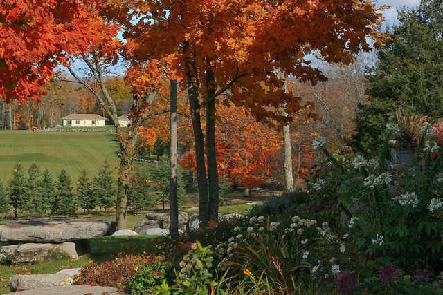 Black Bear Ridge Golf Course - Magee Championship