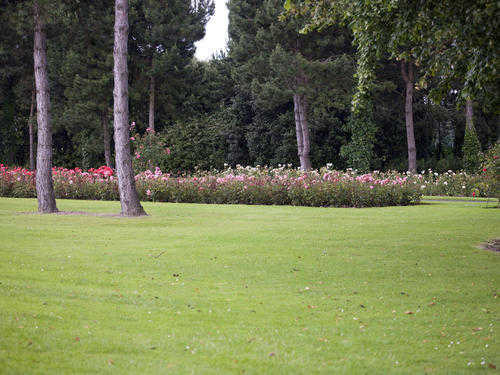 Brown Acres Golf Club