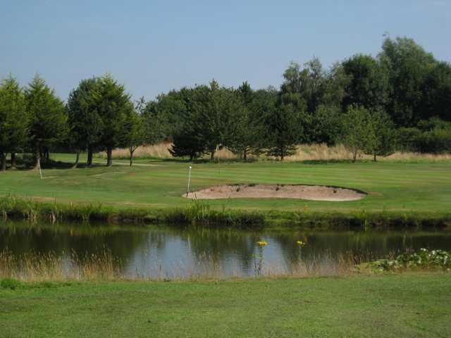A scenic view of the third green and pond at Mile End Golf Club.