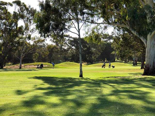 A view from Murray Bridge Golf Club.