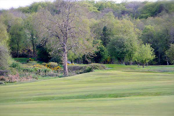 A view from Clandeboye Golf Club