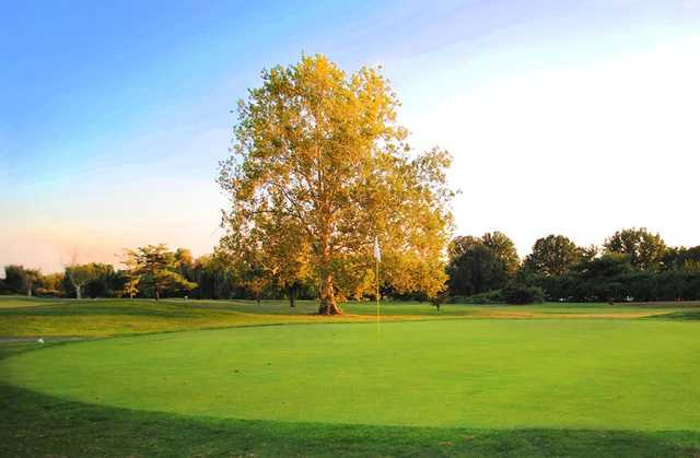 A view of a green at White from East Potomac Golf Course